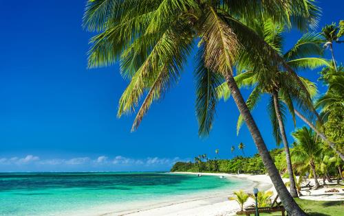 Tropical Getaway