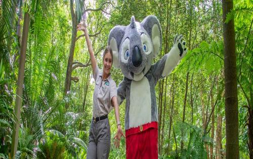 Stay & Play at Currumbin Wildlife Sanctuary