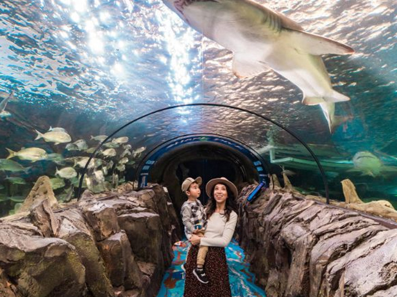 /ShowImage.ashx?id=8631