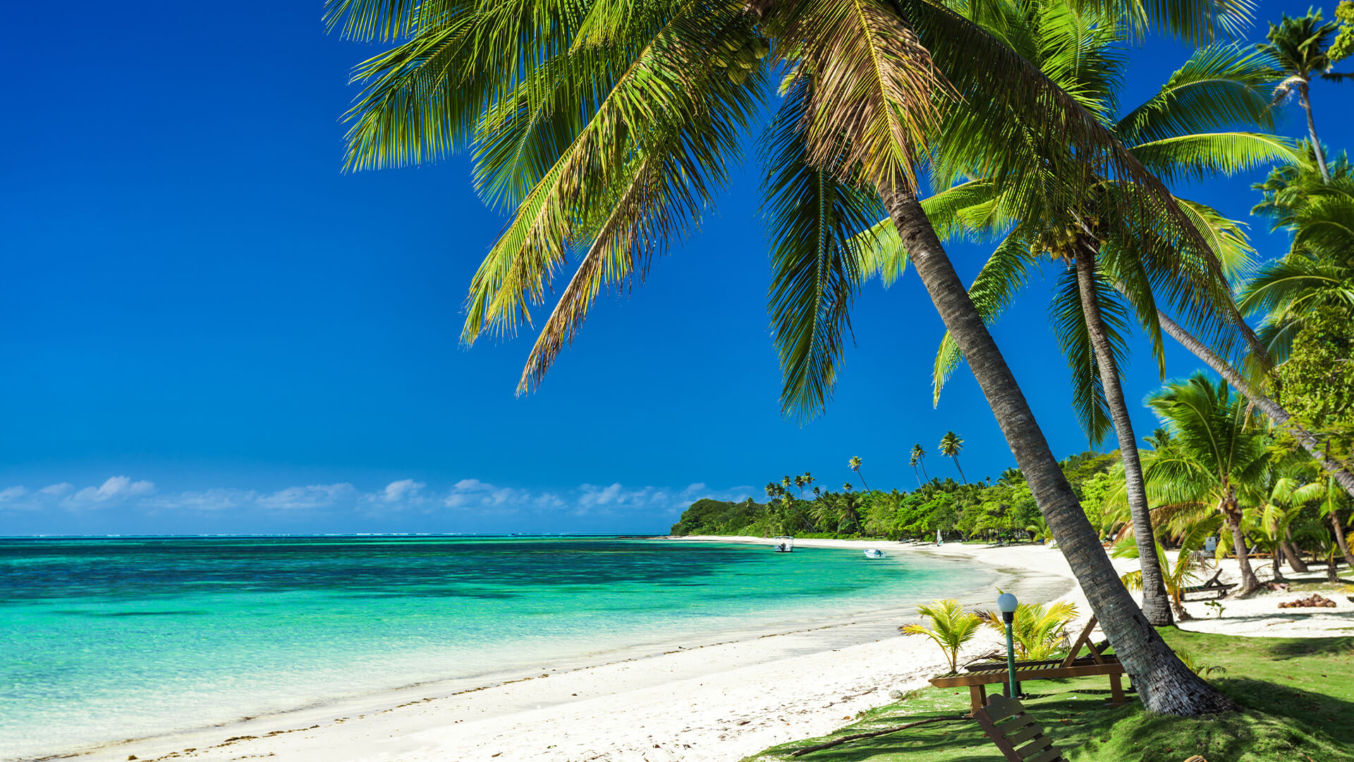 Tropical beach with palm trees and turquoise water in Fiji.