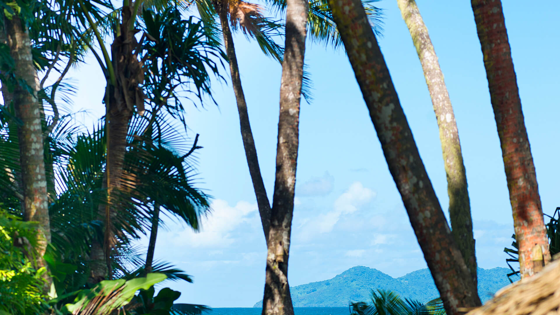 Tropical view of palm trees framing the turquoise ocean with distant islands, seen from a grassy path near a thatched-roof hut at ULTIQA Fiji Palms Beach Resort.