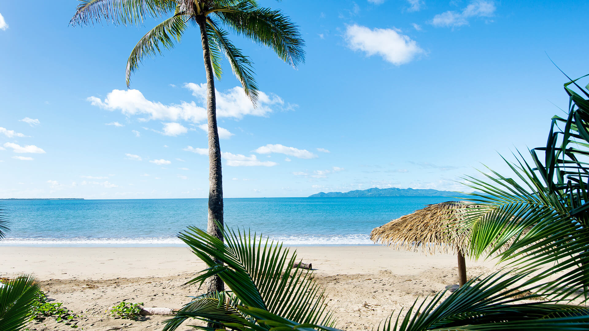 Sandy beachfront with a tall palm tree and thatched umbrella overlooking the calm blue ocean, framed by tropical greenery at ULTIQA Fiji Palms Beach Resort.